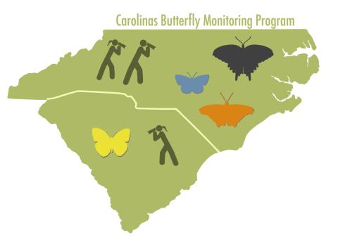 Carolinas Butterfly Monitoring Program